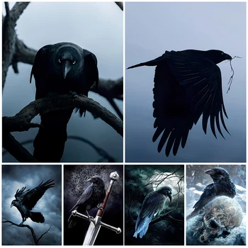 Black Raven Privirea Vintage de Perete de Arta Canvas Tablou Misterios Magic Cioara de Artă Și Postere de Imprimare Decorațiuni interioare Neînrămate