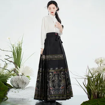 Fata de cal Fusta Hanfu Originale din China Dinastiei Ming Femei Rochie Tradițională Brodate Fusta de zi cu Zi Fata de Cal Fusta Set